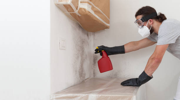 Professional Mold Remediation technician working in Hutchison, VA