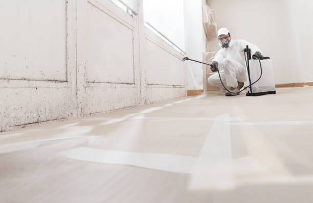 24/7 Emergency Mold Remediation experts in Hutchison, VA